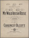 My wild Irish rose