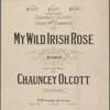 My wild Irish rose