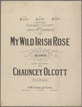 My wild Irish rose