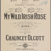 My wild Irish rose