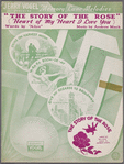 The story of the rose