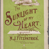 The sunlight of my heart