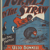 Turkey in the straw