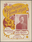 When pansies bloom again