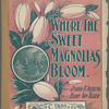 Where the sweet magnolias bloom
