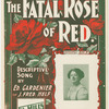 The fatal rose of red