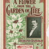 A flower from the garden of life