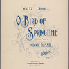 O bird of springtime