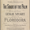 The shade of the palm