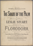 The shade of the palm