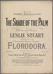 The shade of the palm