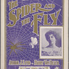 The spider and the fly