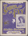 The spider and the fly