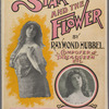 The star and the flower