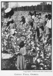 Cotton field, Georgia.