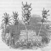 A burial site