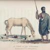 A Chief of the Assounas & the Moorish method of Confining Horses