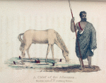 A Chief of the Assounas & the Moorish method of Confining Horses