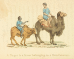 A Negro & a Moor belonging to a Gum Caravan