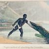 Negro method of attacking the Crocodile
