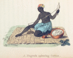 A Negress spinning Cotton