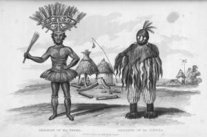 Travels in the Timannee, Kooranko, and Soolima countries, in Western Africa