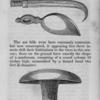 Knives and a mushroom shaped tree