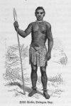 Zulu Kafir, Delagoa Bay