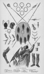 Waganda War Instruments