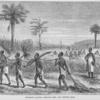 Sirboko's Slaves carrying fuel and cutting rice