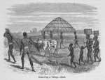 Removing a Village - Madi