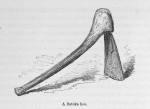 A Batoka hoe