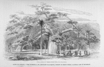 Scene in Angola.  The Masheela, or Angolese Palanquin, coming to rest under a Baobab and Euphorbias