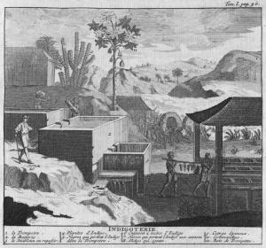 Index