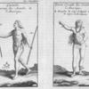 Caraibe ou Sauyage des Antisles de l'Amerique. Fleche, Arc, Caracoli.  Femme Caraibe des Antisles de l'Amerique. A.Bracelets, B.Colier de Rasade, C.Camisa, D.Espece de Brodequins.