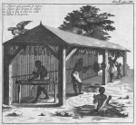 1. Negre qui ejambe le tabac, 2. Negre qui torque le tabac, 3. Negre qui le met en rolle, 4. Tabac a la pente.