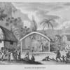 Slaves in Barbadoes