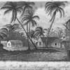 Rivetts Pond Bottom, Bridgetown, Barbadoes.