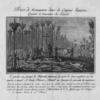 Desert de Konanama dans la Guyane Francaise.  Cimetiere et inhumation des Deportes.