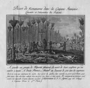 Voyage à Cayenne, dans les deux Amériques, et chez les anthropophages
