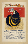 The N. Y. Sunday World