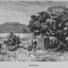 Douabougou.