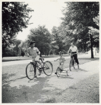 Wartime vacations; Sunday cyclists in East Potomac Park; Washington, D.C.