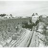 Wagon load of cotton coming out of the field in the evening, Mileston Plantation, Mississippi Delta, Oct. 1939