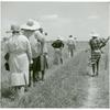 African American cotton plantation workers, hired as day laborers, walking next to cotton field at Hopson Plantation, Clarksdale, Mississippi Delta, Mississippi, August 1940.