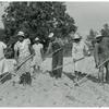 The family of Mr. Leroy Dunn, chopping cotton in a rented field near White Plains, Greene County, Georgia, June 1941.