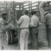 Migrants getting truck ready to leave Belcross, N.C. for Onley, Va., July 1940.