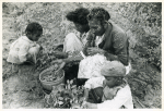 Project family picking peas in their garden, Flint River Farms, Ga. May 1939.