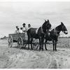 Ben Turner and family in their wagon with mule team. Flint River Farms, Georgia. May 1939.