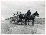 Ben Turner and family in their wagon with mule team. Flint River Farms, Georgia. May 1939.